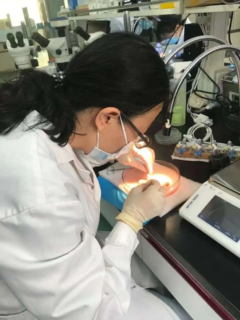 微信图片_20260601105836.jpg