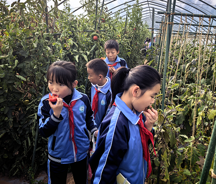 图片7.png