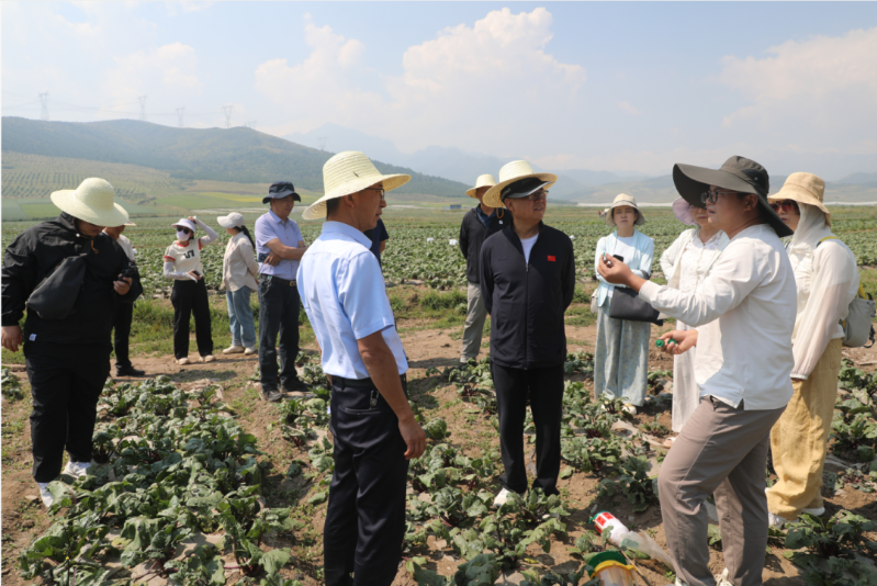 微信图片_20260810153638_233_8.png 微信图片_20260810153638_233_8.png