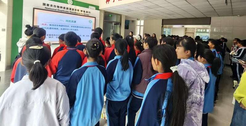 图片5.png